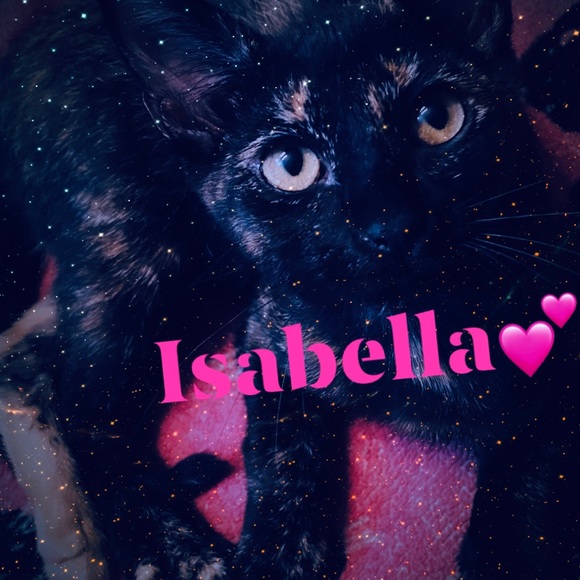 Meet your Posher, Dawn - Picture 14 of 16